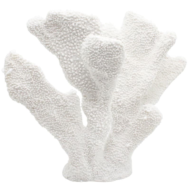 Coral Ear Fan