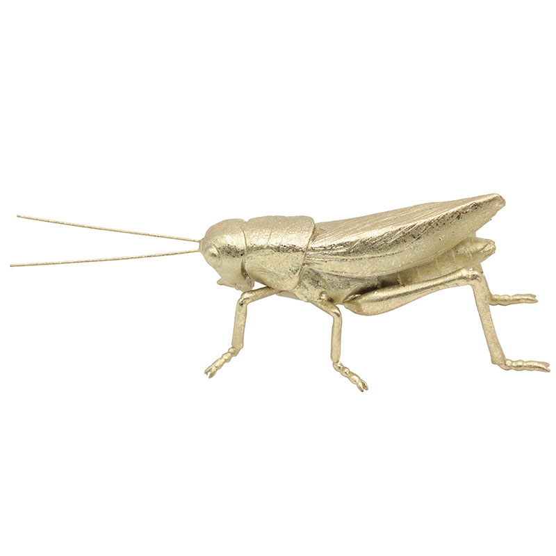 Gold Grasshopper