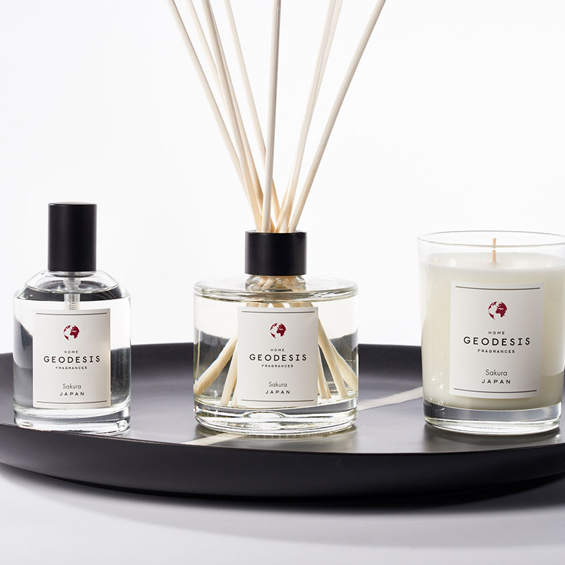 Geodesis Reed Diffuser - Image 2