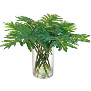 Monster Leaf Arrangement