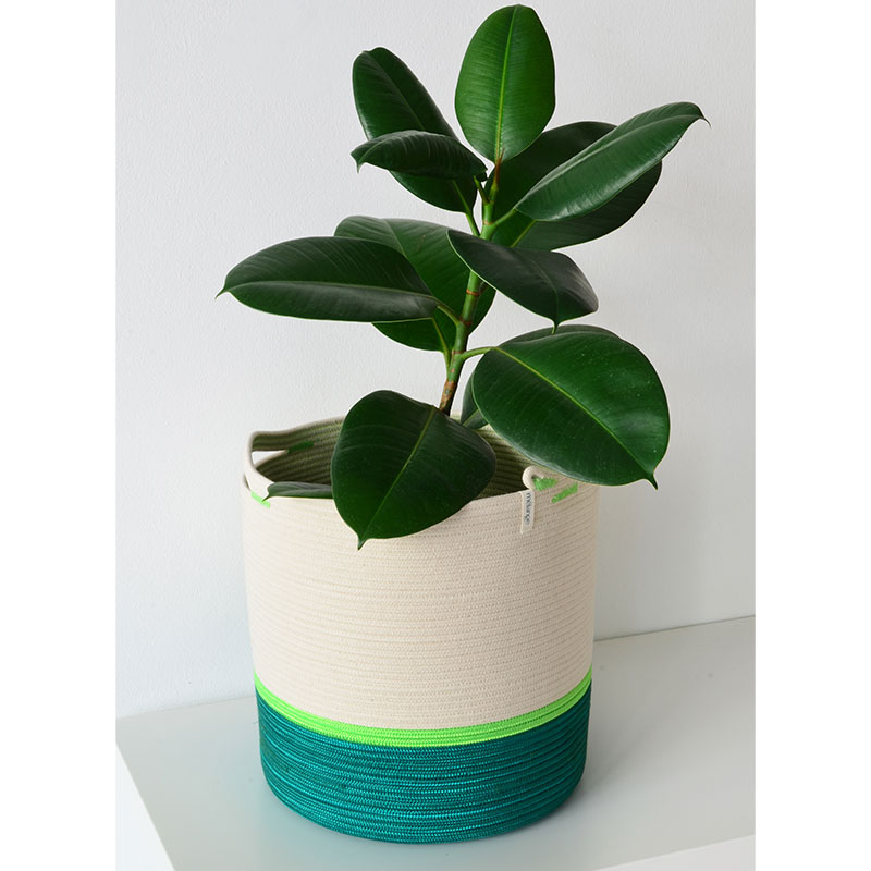Bright Handle Cylinder Basket - Image 4
