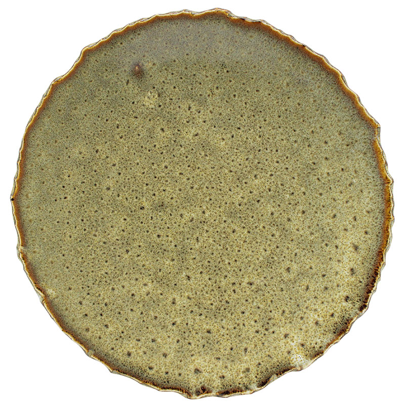Reactive Chipped Dinner Plate