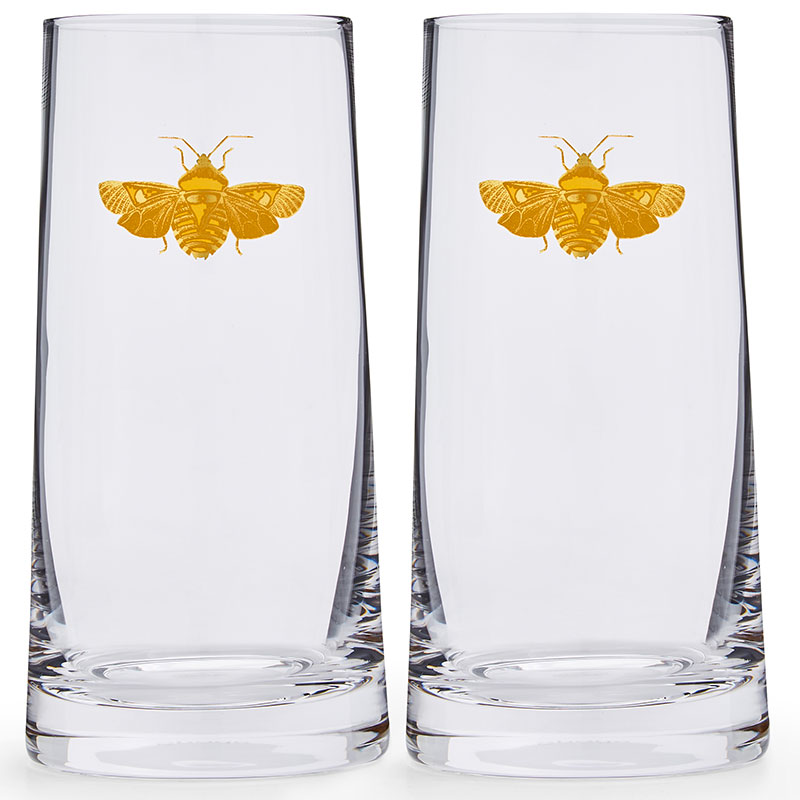 Creatures of Curiosity Highball Glass Tumbler Set