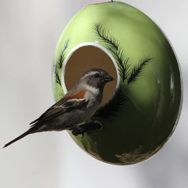 Ostrich Egg Bird Feeder