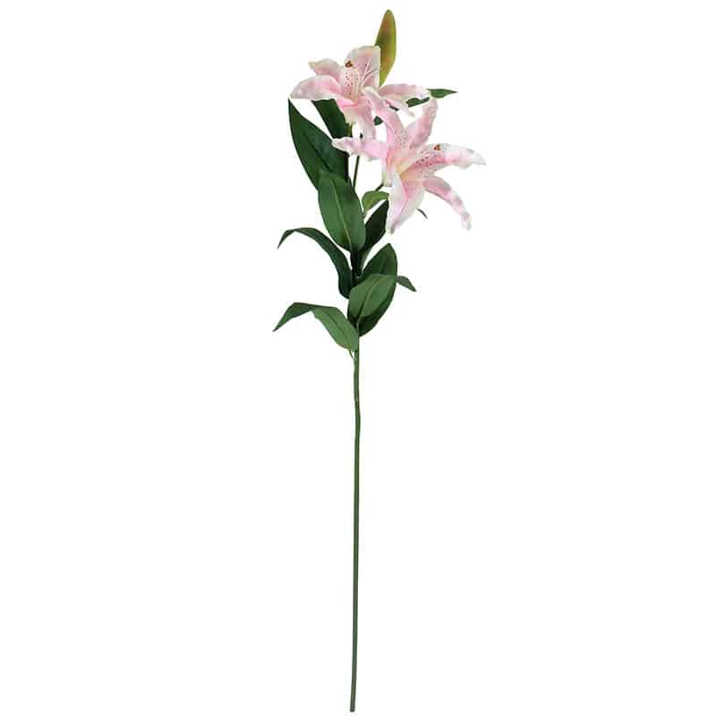 Light Pink Lily Stem