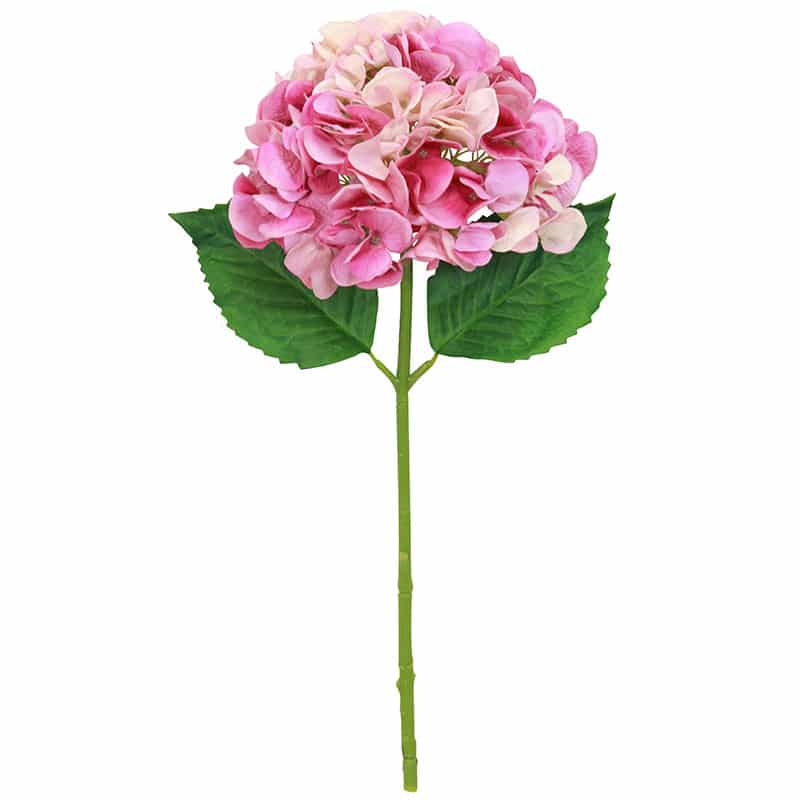 Dark Pink Hydrangea Stem