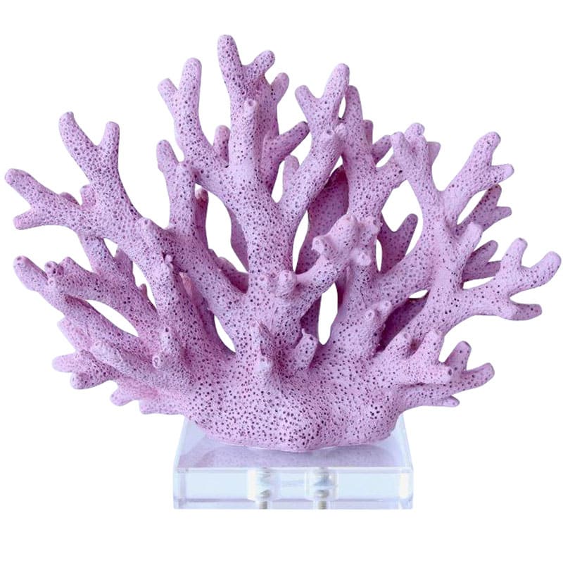 Lilac Coral on Base