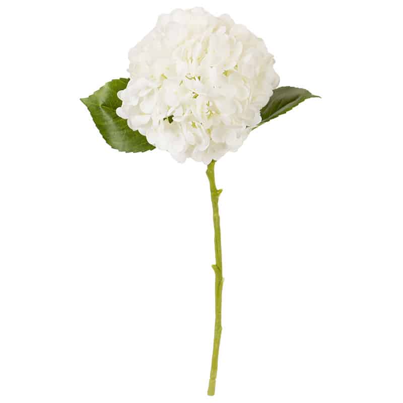 White Hydrangea Spray