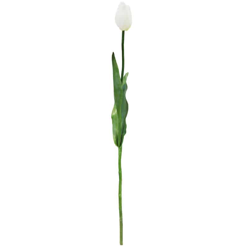 White Tulip Spray