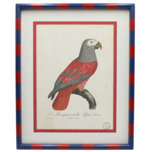 Bold Stripes & Parrot Picture Frame