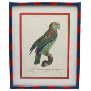 Striped Parrot Elegance Frame