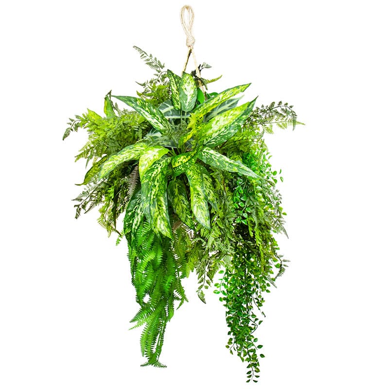 Hanging Moss Ball