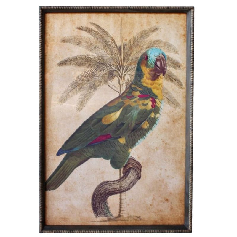 Turquoise Headed Parrot Artwork Rattan Frame