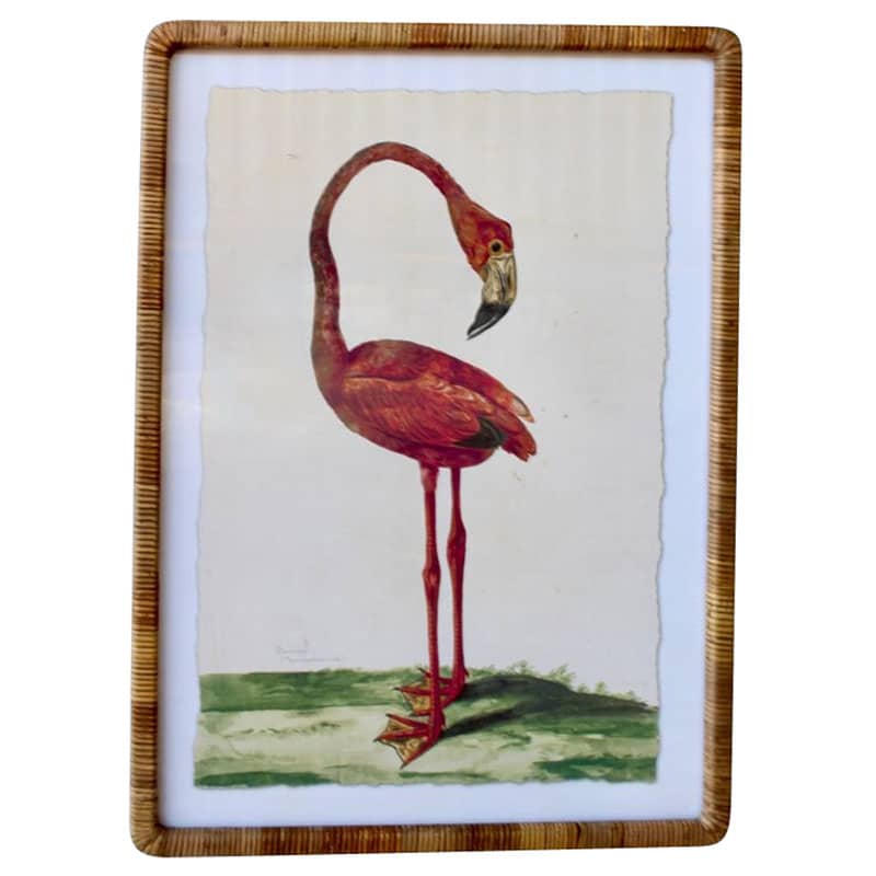 Pink Flamingo Artwork Cane Frame