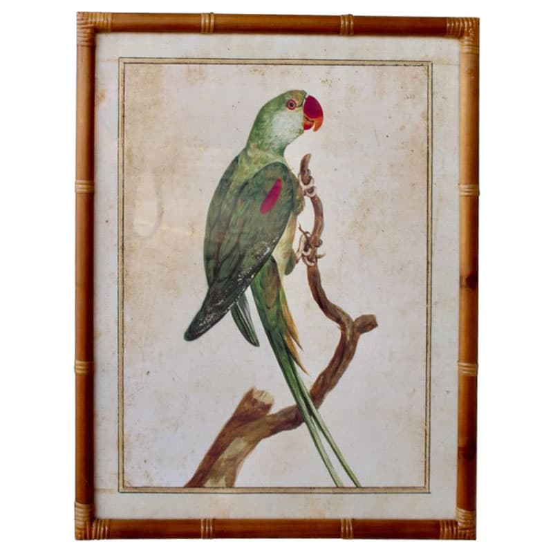 Green Parrot Pink Beak Artwork Bamboo Frame