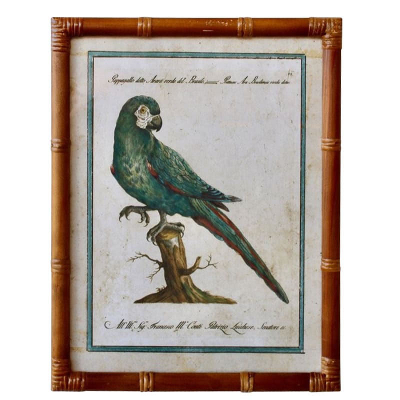 Green Parrot Artwork Bamboo Frame