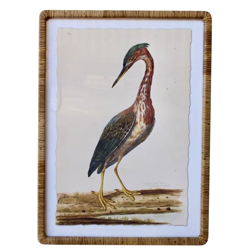 Long Neck Bird Artwork Cane Frame