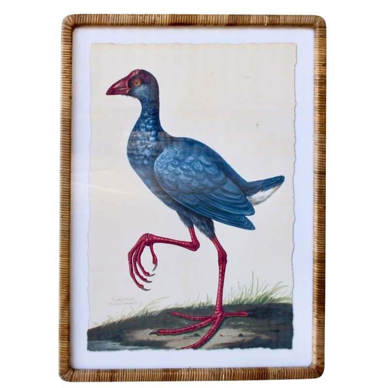 Blue Bird Artwork Cane Frame