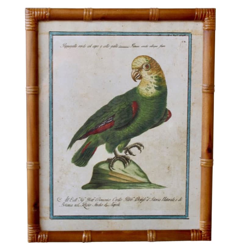 Yellow Crowned Parrot Print Bamboo Frame