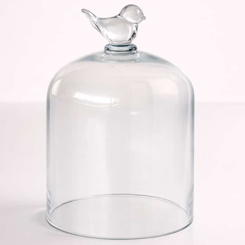 Birdy Dome