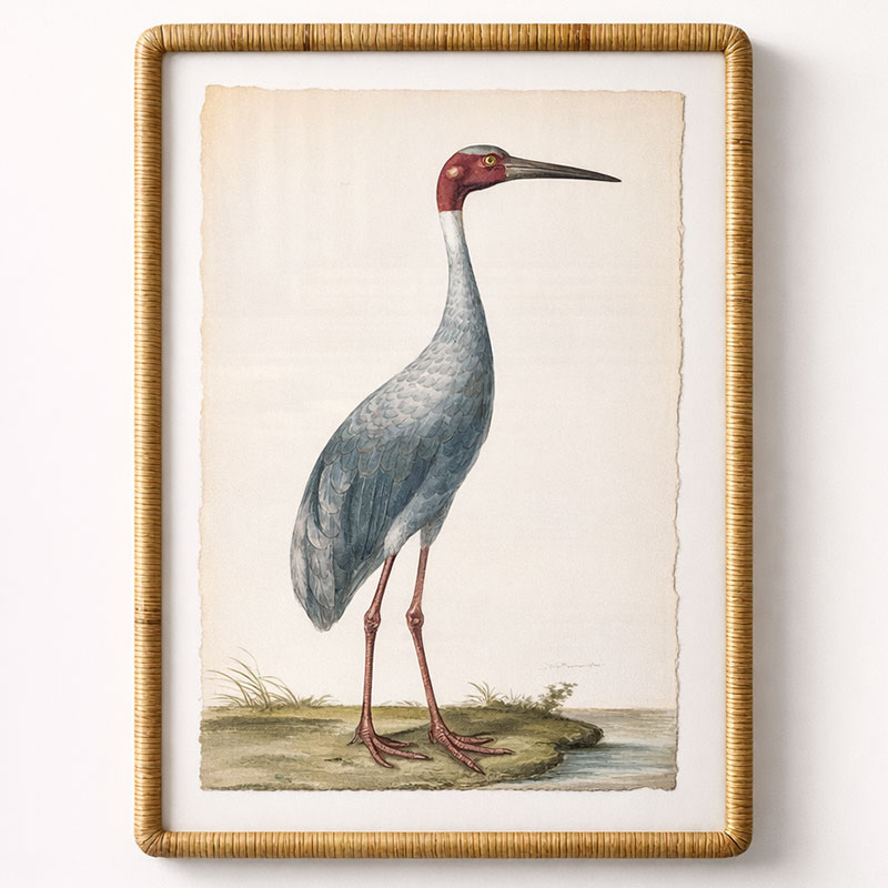 Blue Crane Artwork Cane Frame
