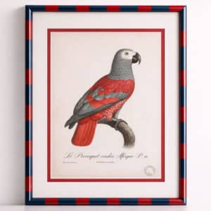 Bold Stripes & Parrot Picture Frame
