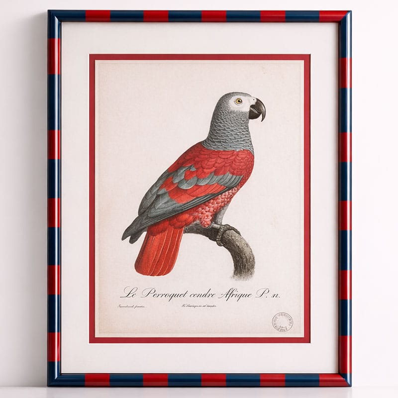 Bold Stripes & Parrot Picture Frame