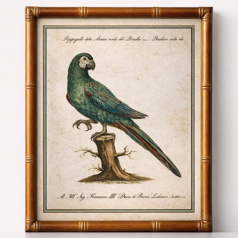Green Parrot Artwork Bamboo Frame