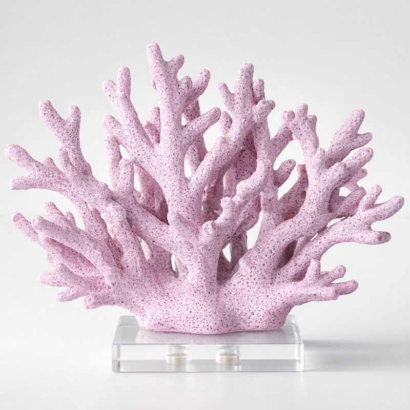 Lilac Coral on Base