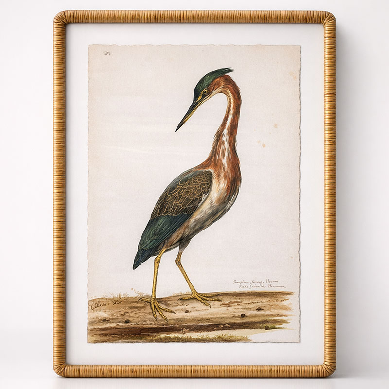 Long Neck Bird Artwork Cane Frame
