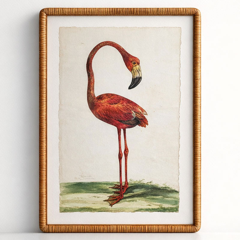 Pink Flamingo Artwork Cane Frame