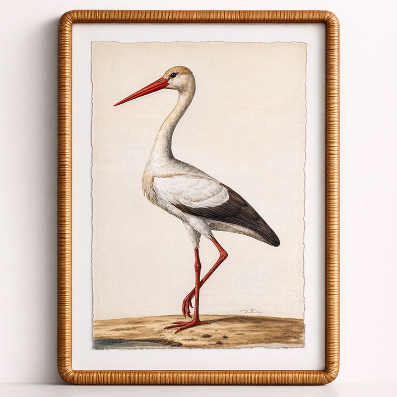 Stork Artwork Cane Frame