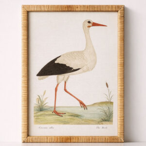 Stork Rattan Picture Frame