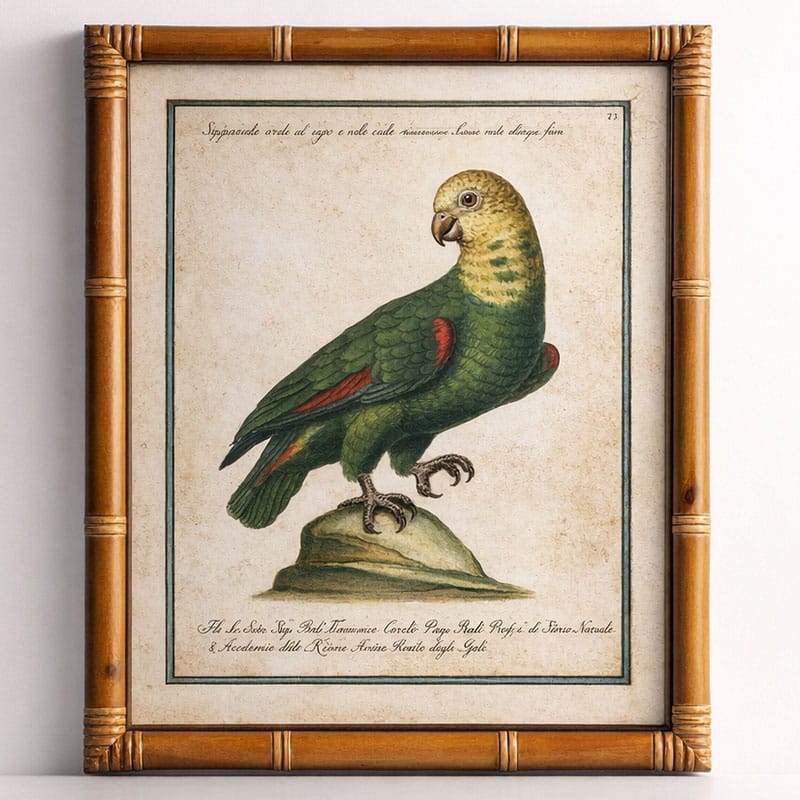 Yellow Crowned Parrot Print Bamboo Frame