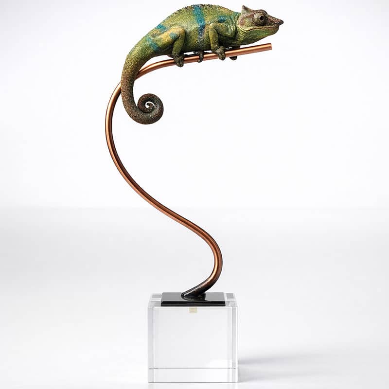 Chameleon On Crystal Base