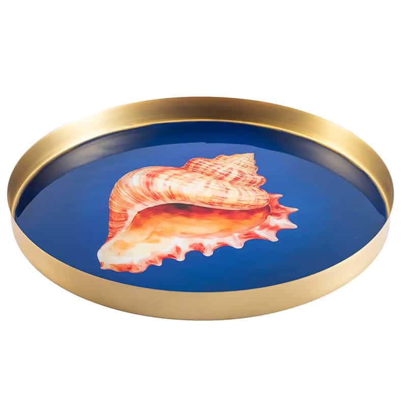 Shell Tray