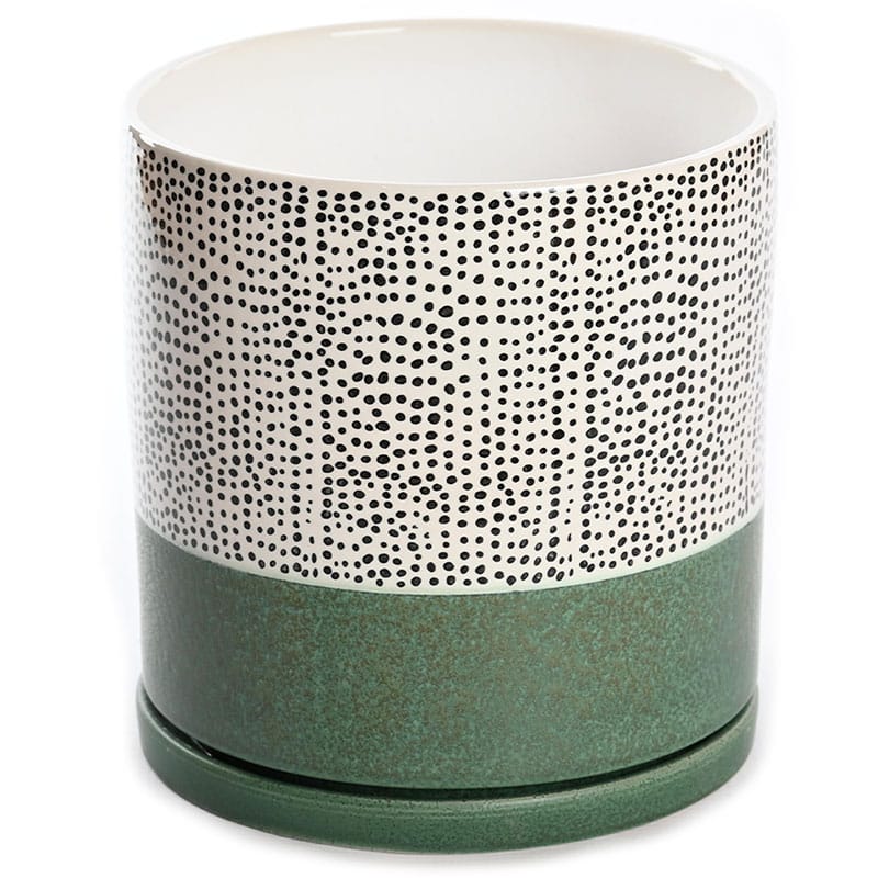 Large Dotted Pottery Planter