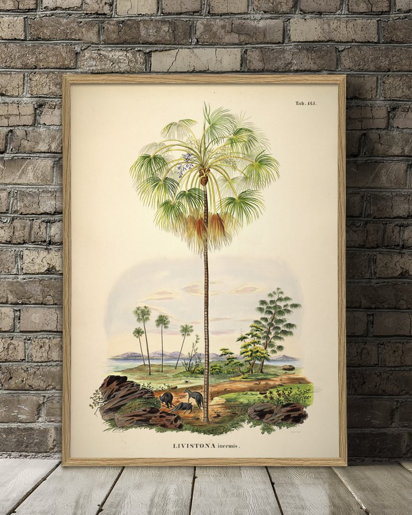 Palm Island Botanical Print - Image 2