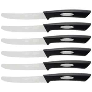 6 Piece Steak Knife Set