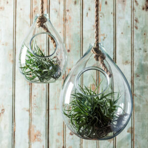 Hanging Rope Planter