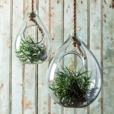 Hanging Rope Planter