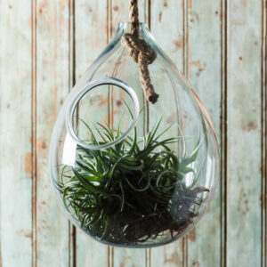 Hanging Rope Planter - Large