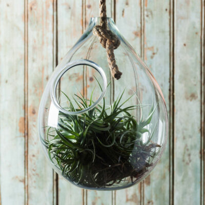 Hanging Rope Planter - Large