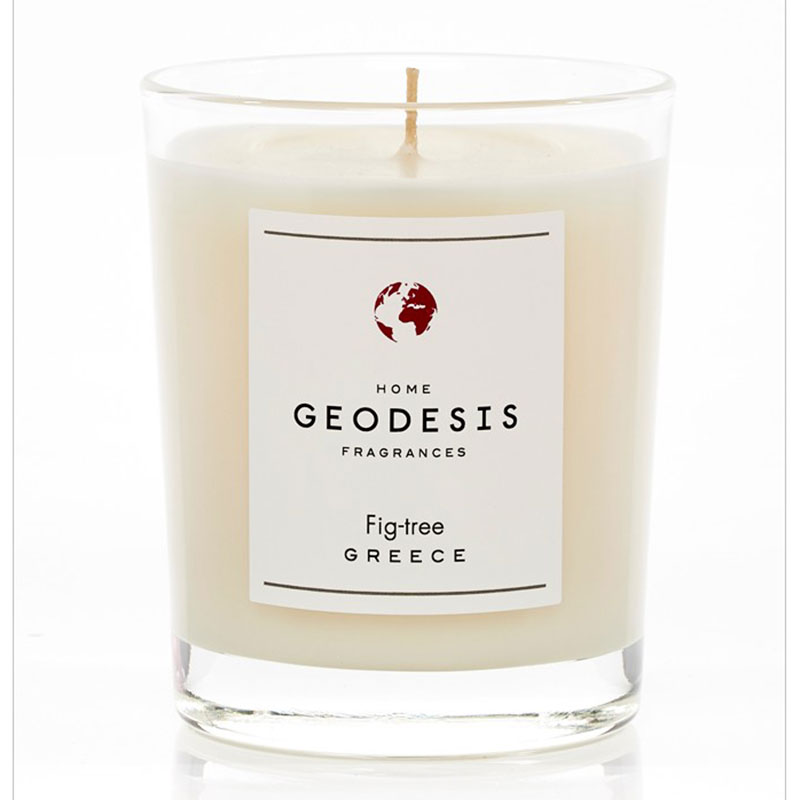 Candle-Fig-Tree