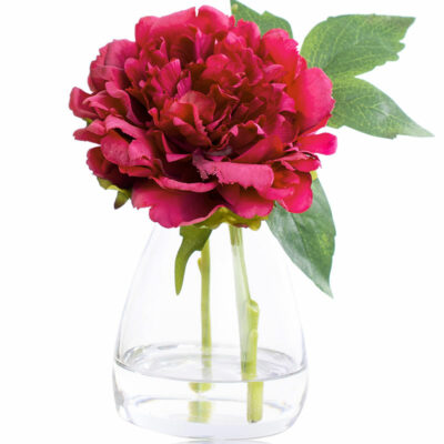 Peony Fragrance Gift Set