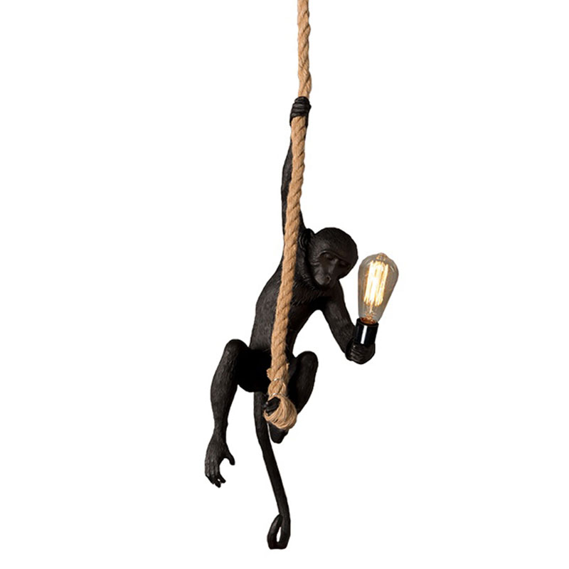 Black-Monkey-on-Rope