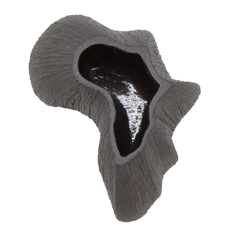Black Roots Vase - Image 3