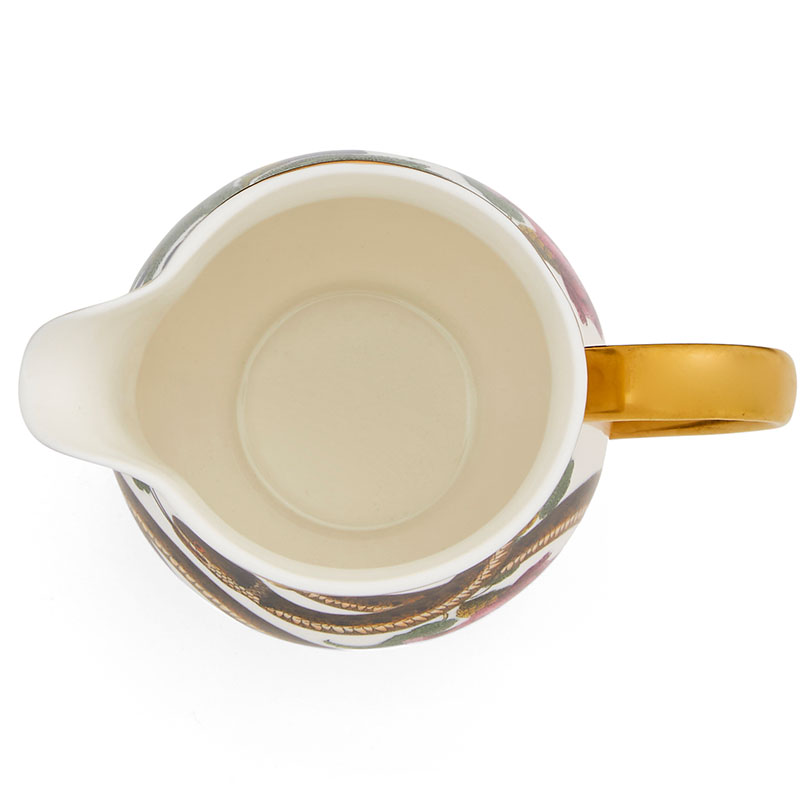 Creatures of Curiosity Milk Jug - Image 3