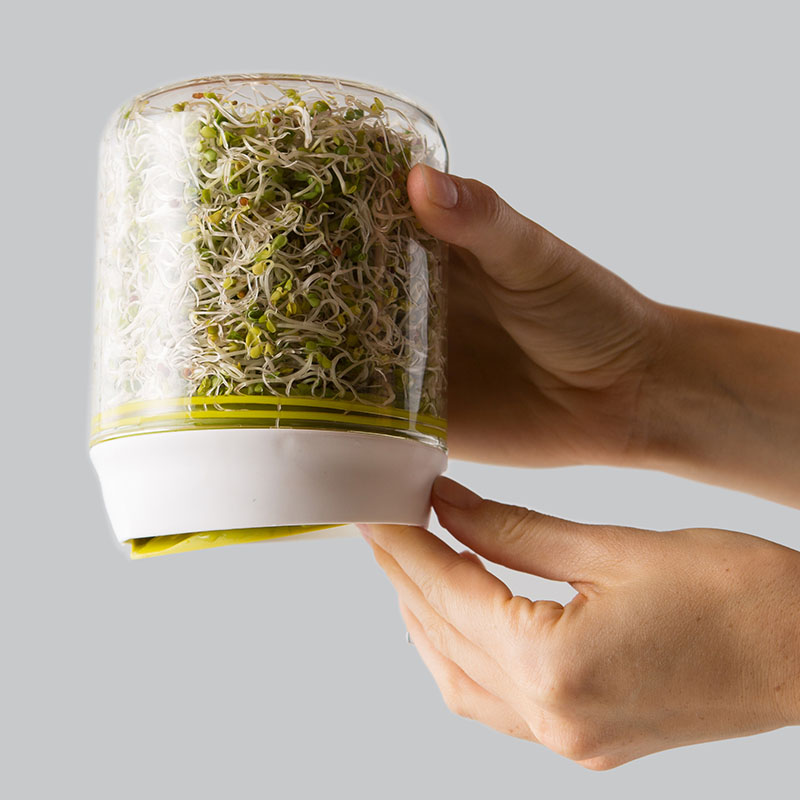 Countertop Sprouter Growing Kit - Image 2