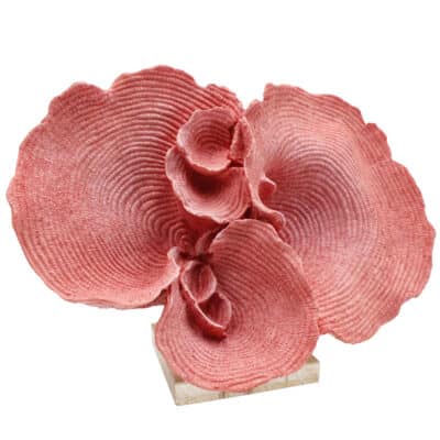 Pink Coral Ornament on Base
